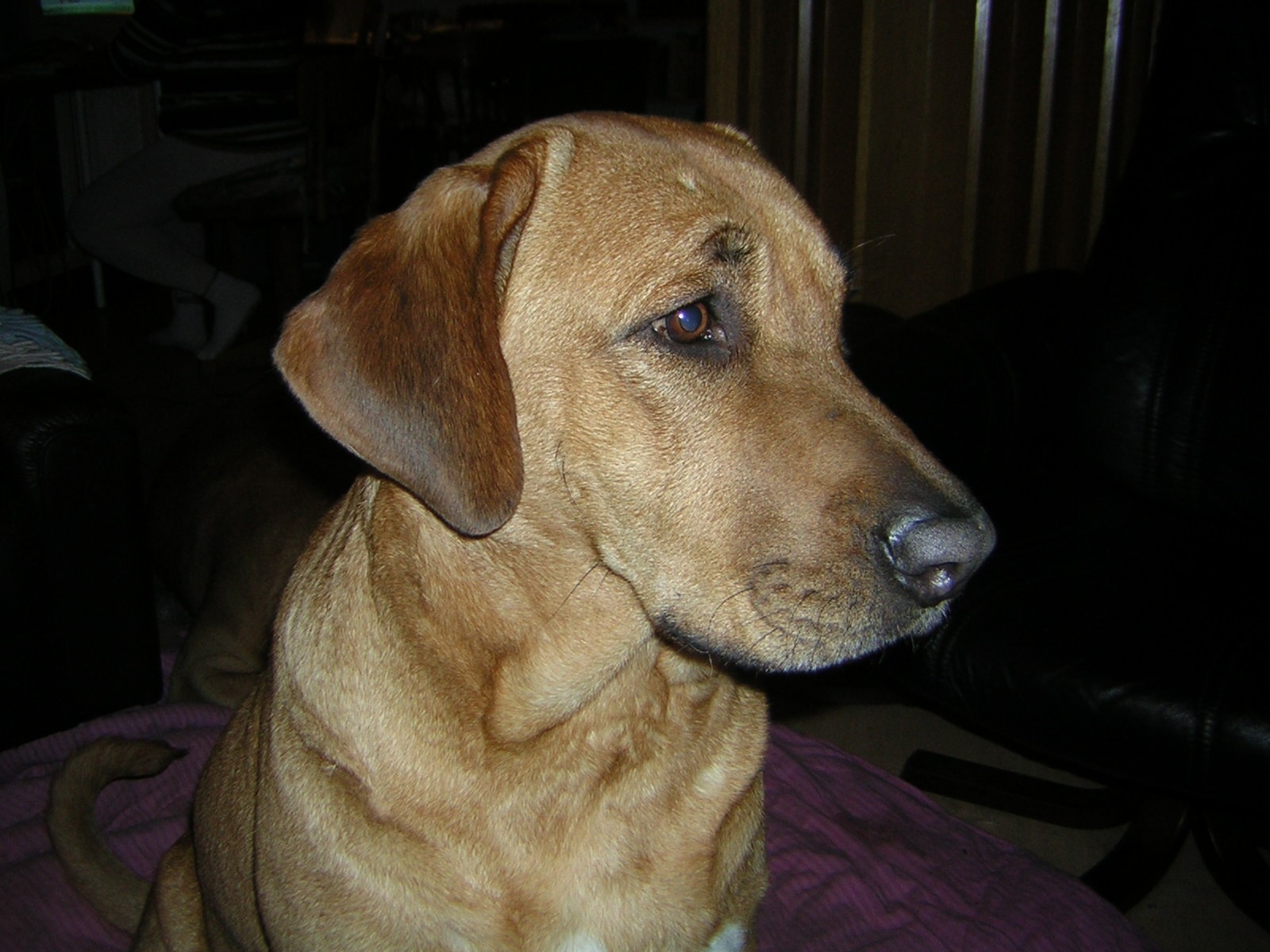 Dufa
