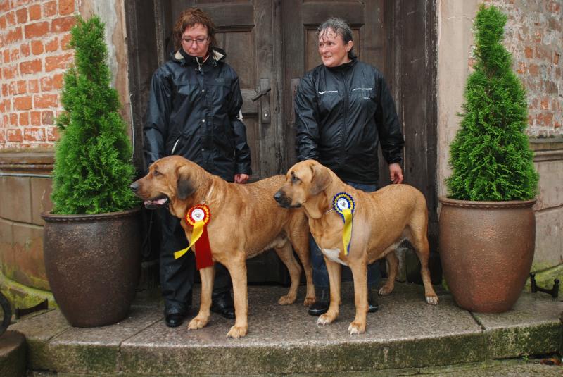 Tilfredsstille hver dag Nathaniel Ward Om os | Kennel Gamle Danere